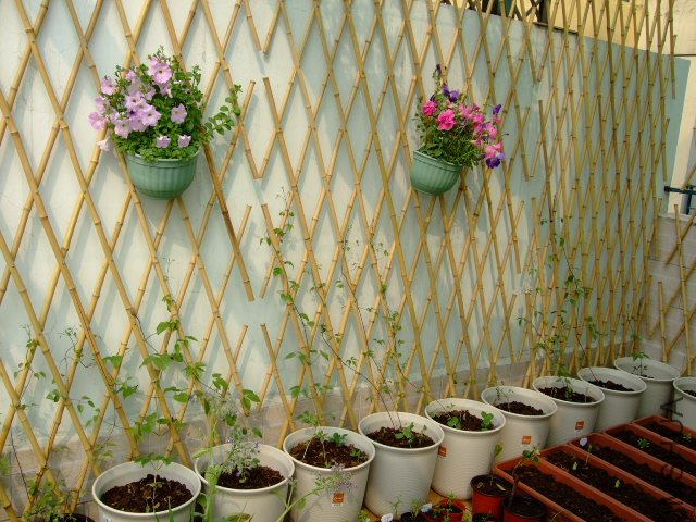 DSCF3151.JPG