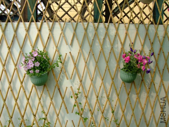 DSCF3150.JPG