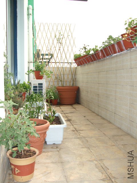 DSCF3196.JPG