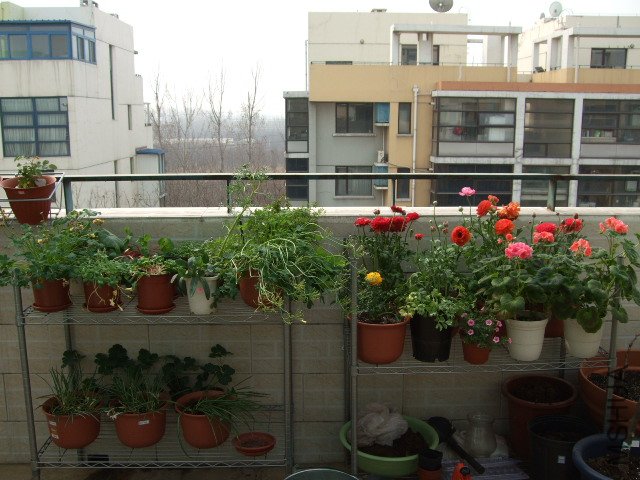 DSCF3199.JPG