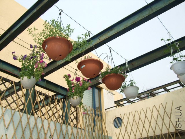 DSCF3203.JPG