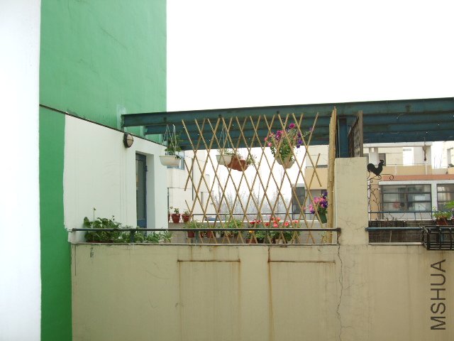 DSCF3249.JPG