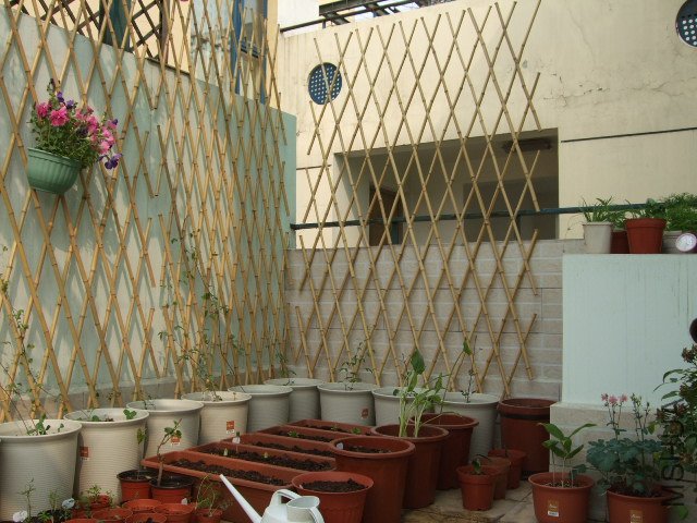 DSCF3201.JPG