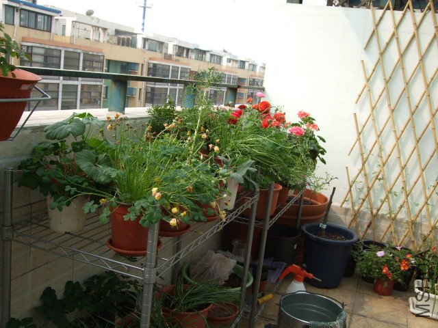 DSCF3198.JPG