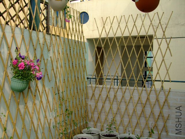 DSCF3152.JPG