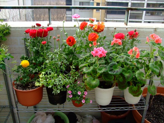 DSCF3148.JPG