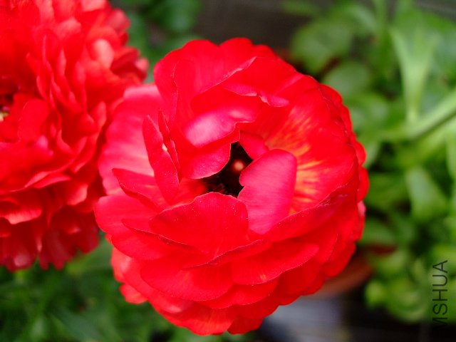 DSCF3178.JPG