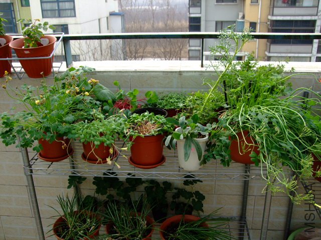 DSCF3149.JPG