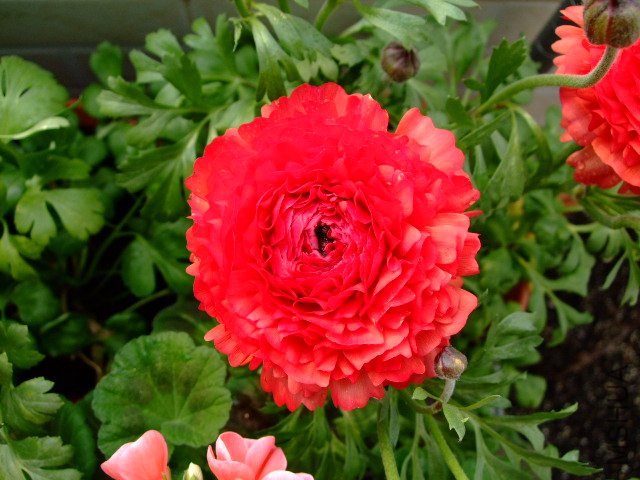 DSCF3179.JPG