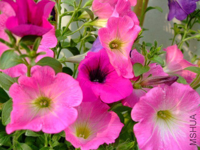 DSCF3167.JPG