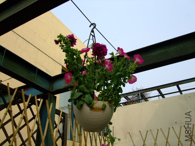 DSCF3154.JPG