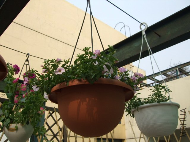 DSCF3205.JPG