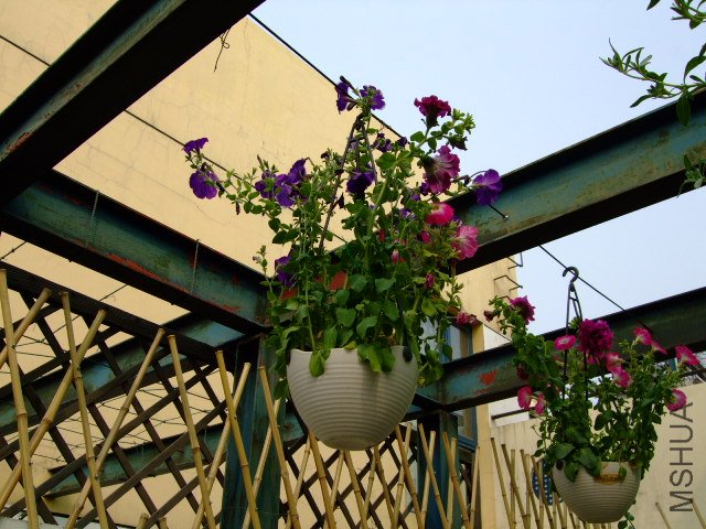DSCF3153.JPG