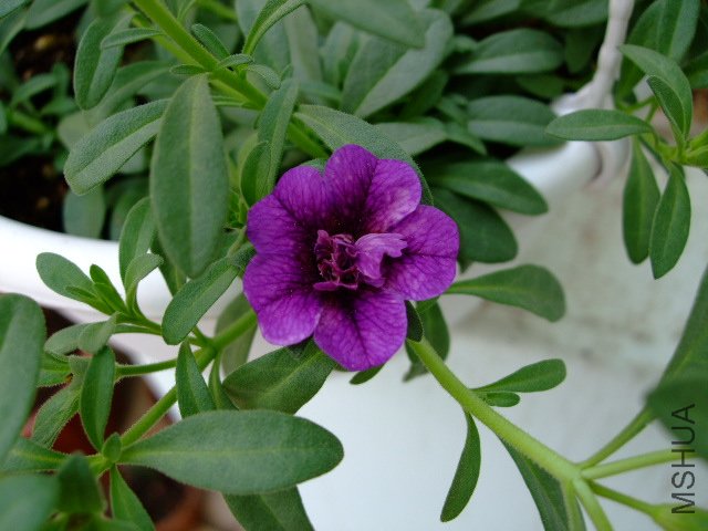 DSCF3157.JPG