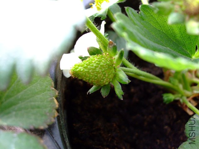 DSCF3190.JPG