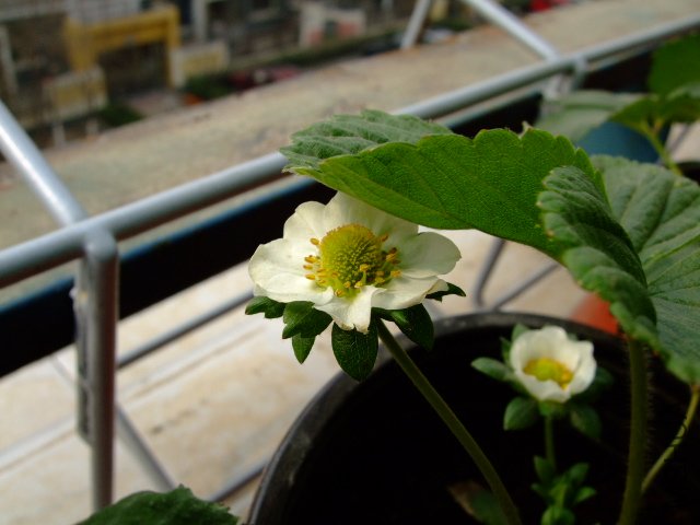 DSCF3189.JPG