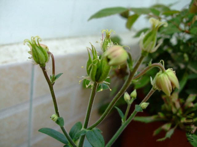 DSCF3160.JPG