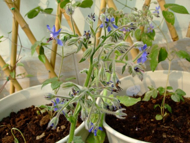 DSCF3169.JPG