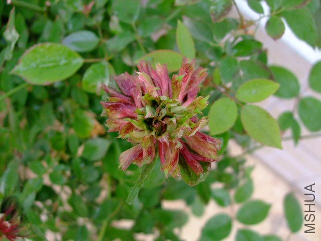 DSCF3162.JPG
