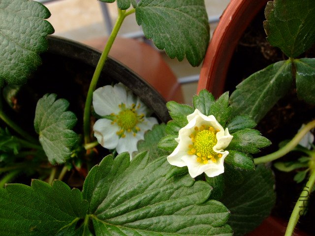 DSCF3191.JPG