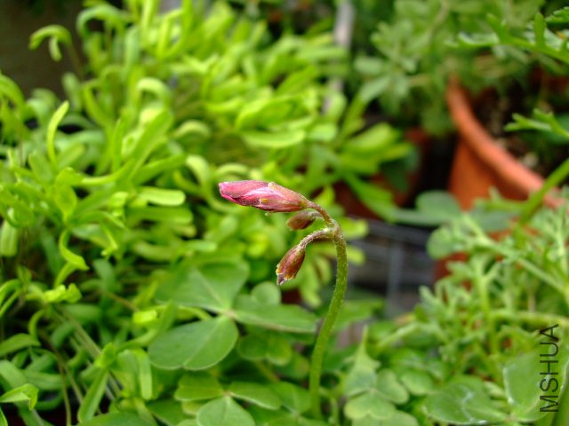 DSCF3217.JPG