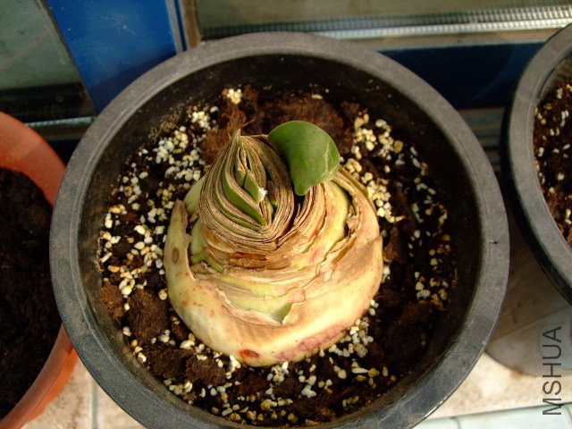 DSCF3195.JPG