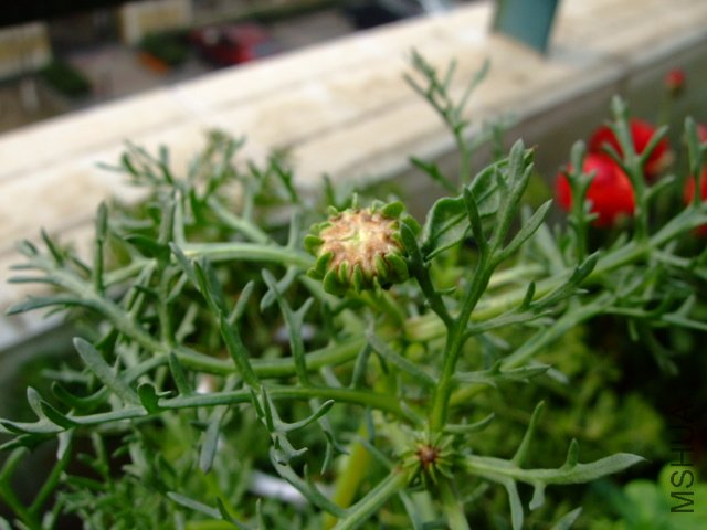 DSCF3218.JPG