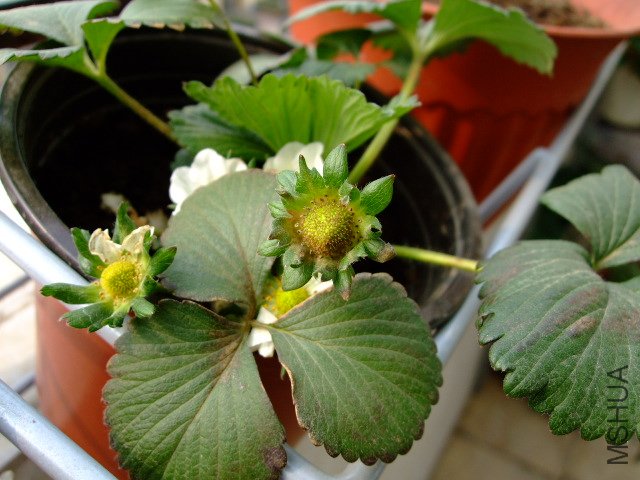 DSCF3192.JPG