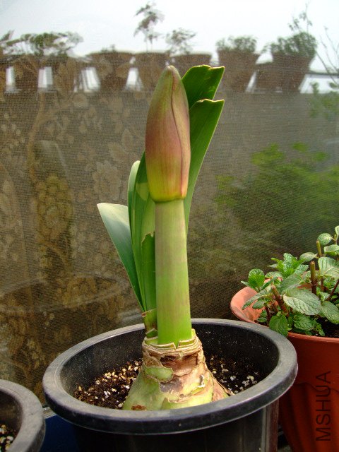 DSCF3194.JPG