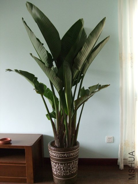 DSCF3241.JPG