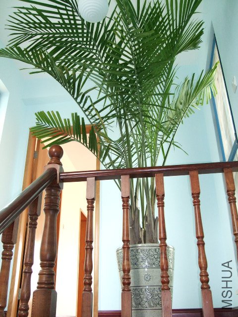DSCF3245.JPG