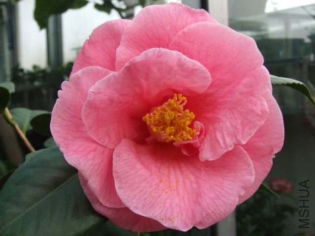 DSCF6798.jpg