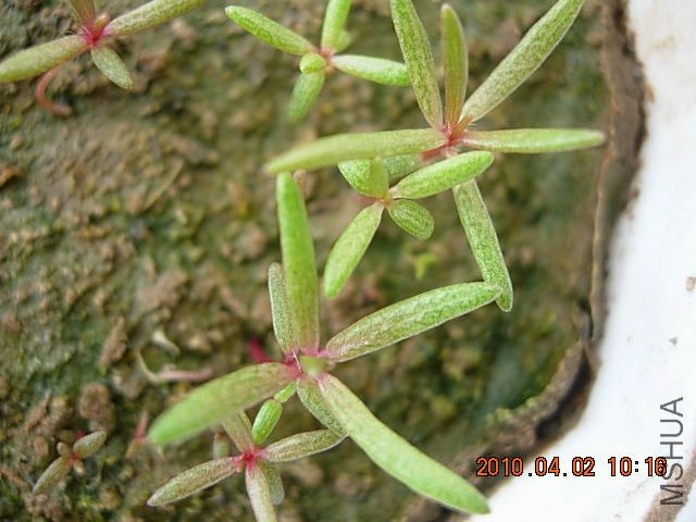 ���� 072.jpg