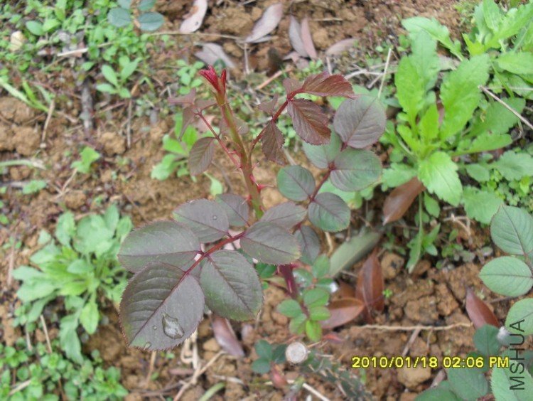 �ٺ����Ѿ�