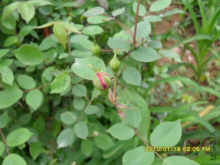 ���º�Ҫ����