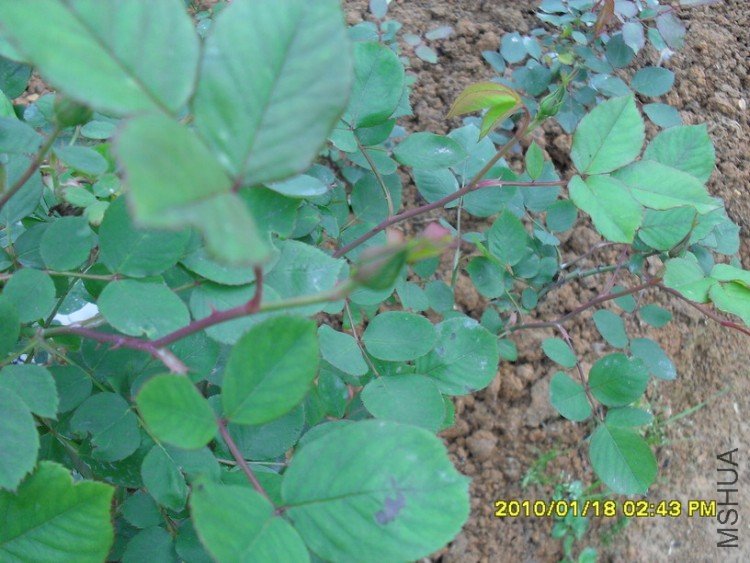 �󻨵�������ľ�¼�