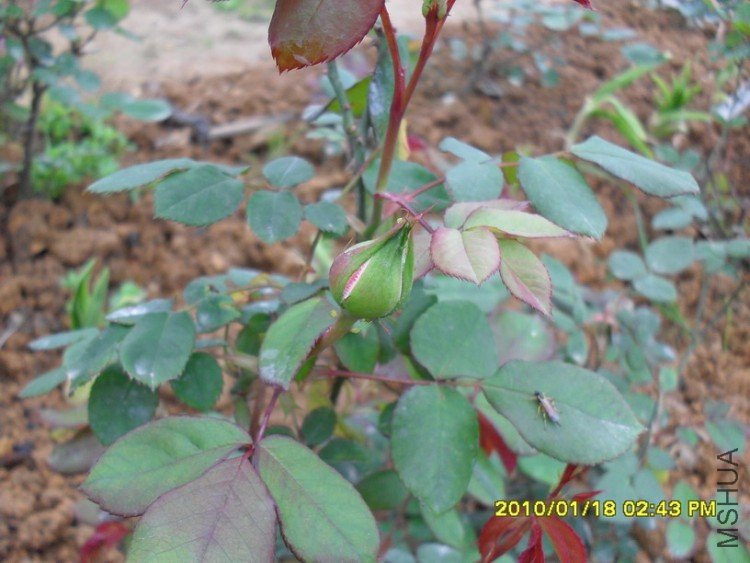 �����ͳȻ��¼�