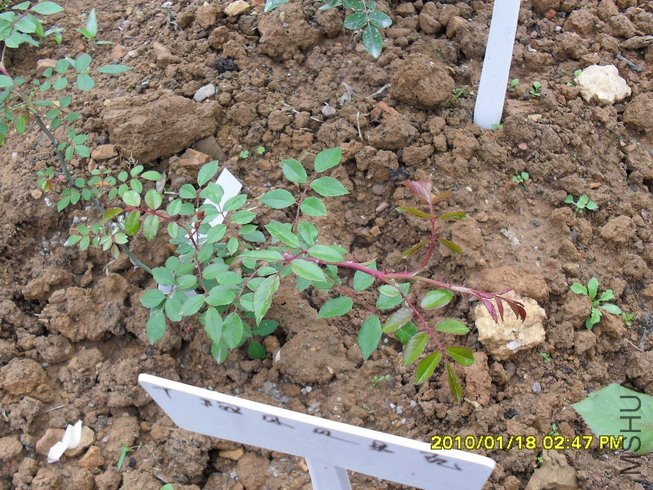 �������������