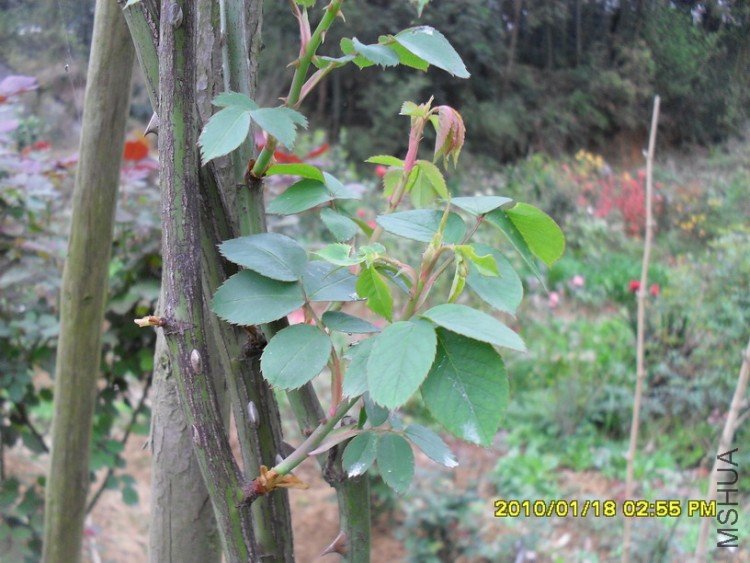 ���������