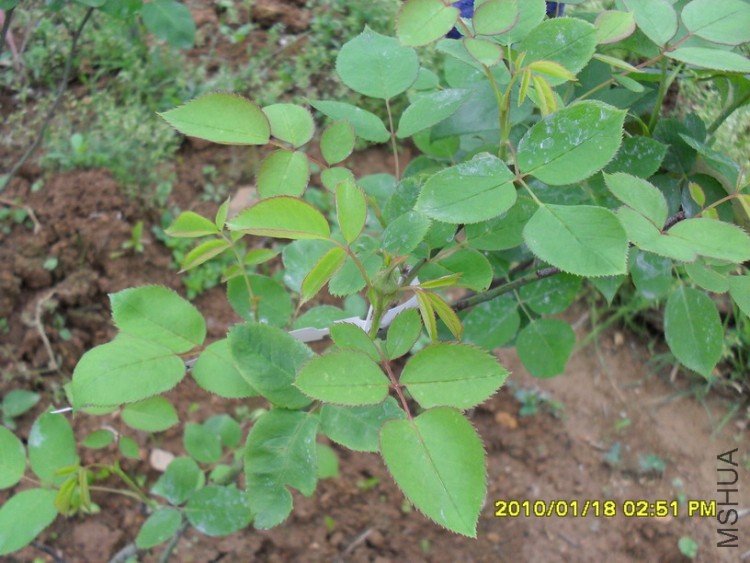 ��ĵ���¼�