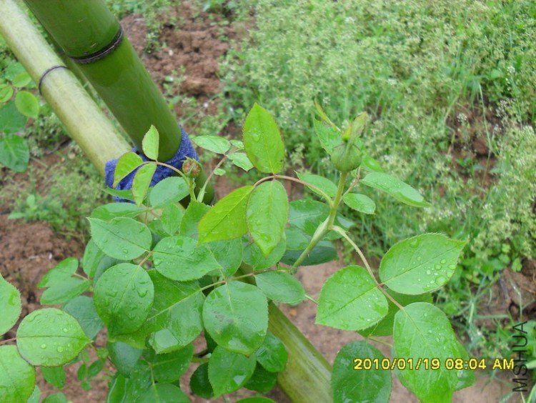 ��ĵ���¼�