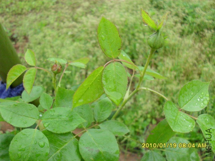 ��ĵ���¼�