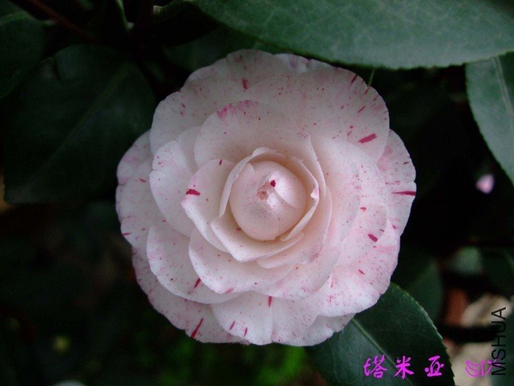 ������   10-4-4(2).jpg