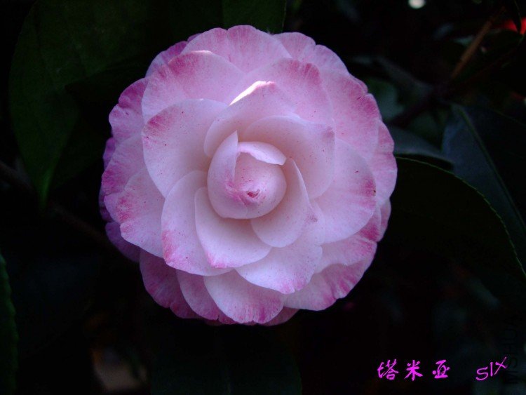 ������10-4-5 (5).jpg