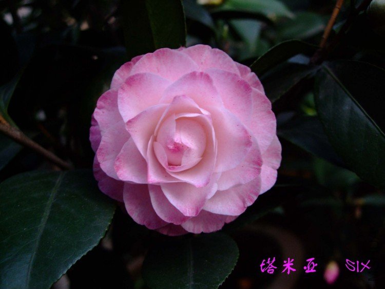 ������10-4-5 (2).jpg