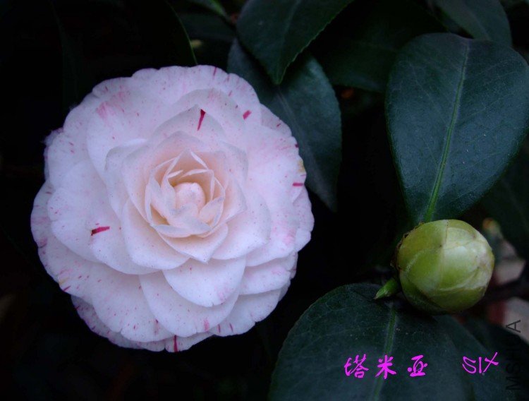 ������10-4-5 (3).jpg