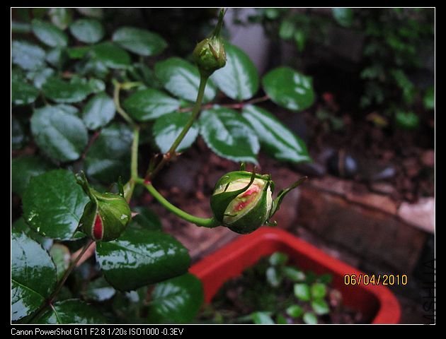 �����е��