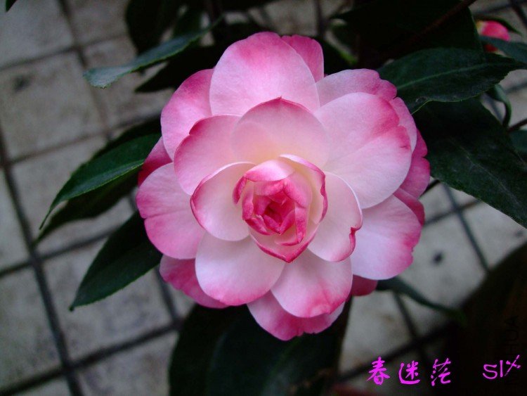 ����ã 10-4-5 (2).jpg