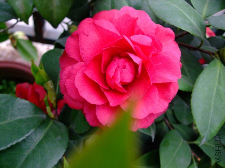 �������� 10-4-6(1).jpg