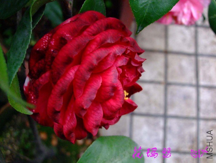 ����ɪ10-4-6 (2).jpg